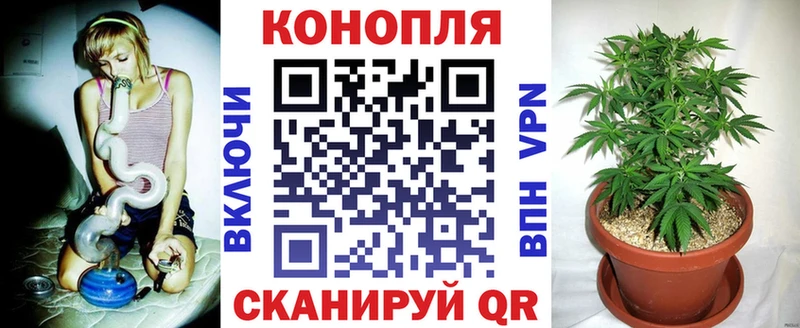 сайты даркнета Telegram  Новая Ляля  МАРИХУАНА сатива 